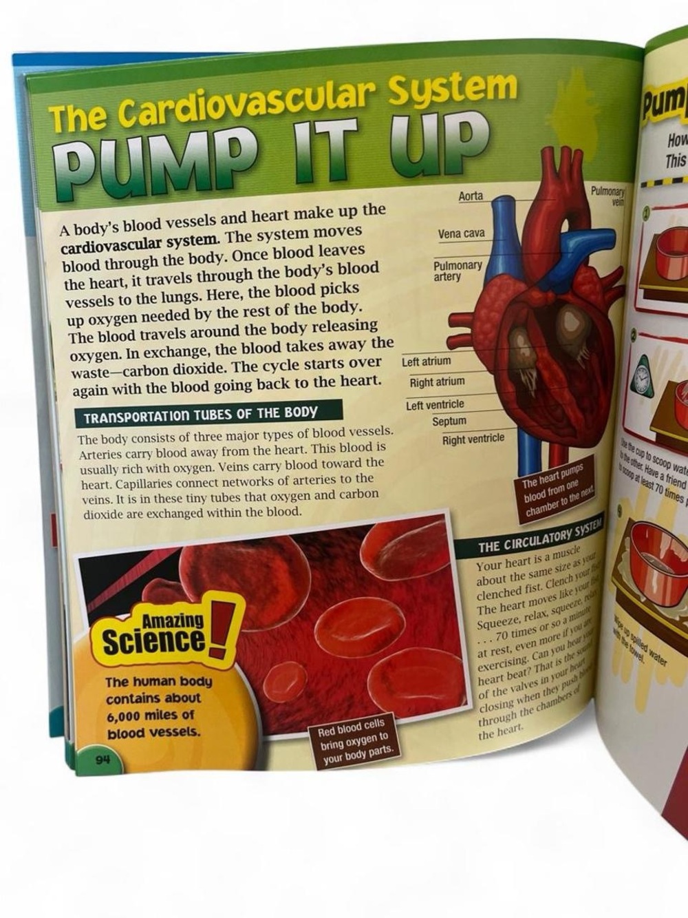2009 TIME for Kids Super Science Book Easy Experiments Colorful Illustrations - Picture 3 of 8